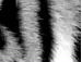 Віталік Іванців фотография #37 (источник - https://vk.com/id67578646)