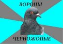 Валерка :D ..... фотография #13 (источник - https://vk.com/id116737629)