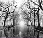 Віталік Федун фотография #36 (источник - https://vk.com/id21116385)