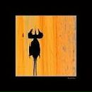 Іринка Мамичева фотография #20 (источник - https://vk.com/id93689656)