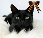 Фотография Мельниковой Ольги