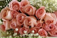 Фотография Терпуговой Велички