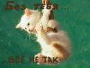 Юра Юрійчук фотография #50 (источник - https://vk.com/id135376588)