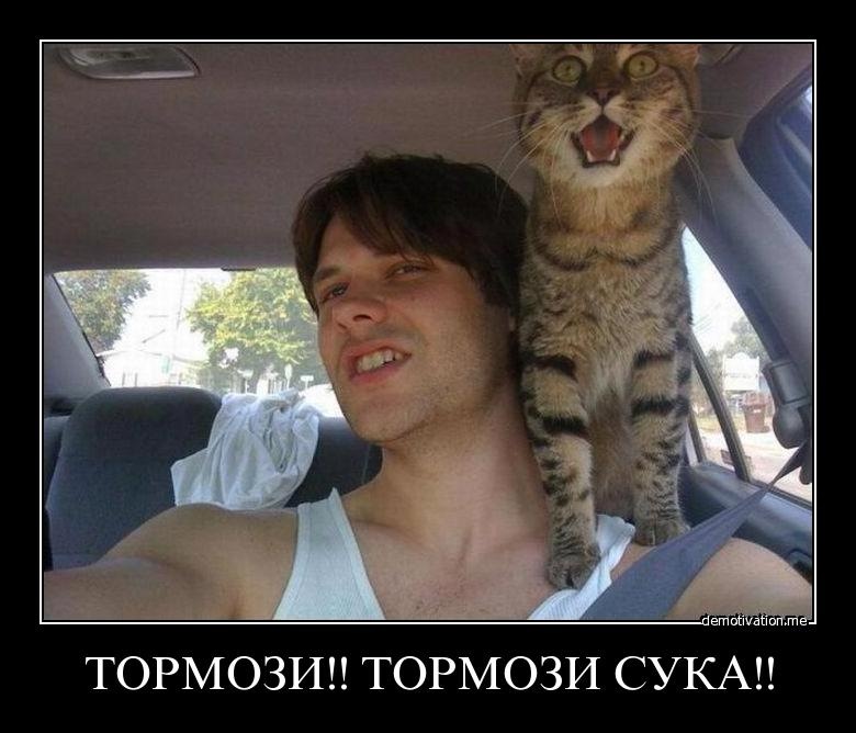 Виктор Васильев фотография #41