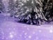 Лєночка Тарасюк фотография #50 (источник - https://vk.com/id154481775)