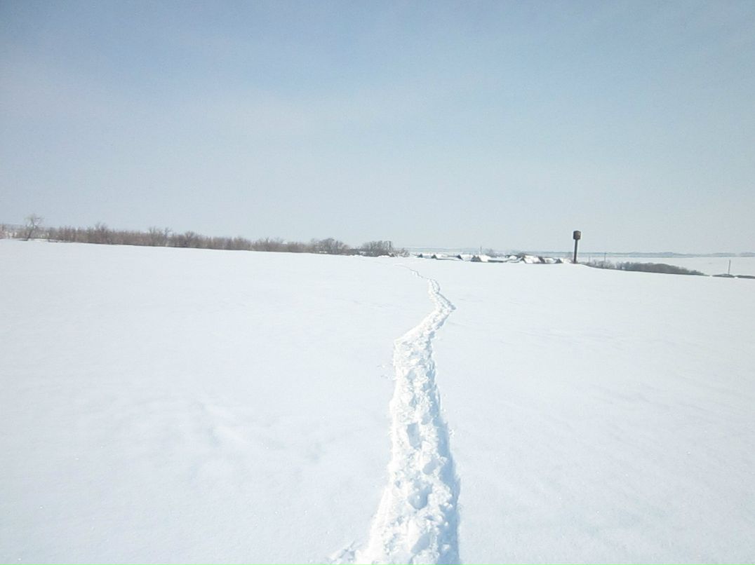 Дмитрий Козлов фотография #41