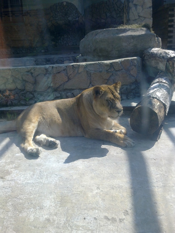 Alex *** фотография #23