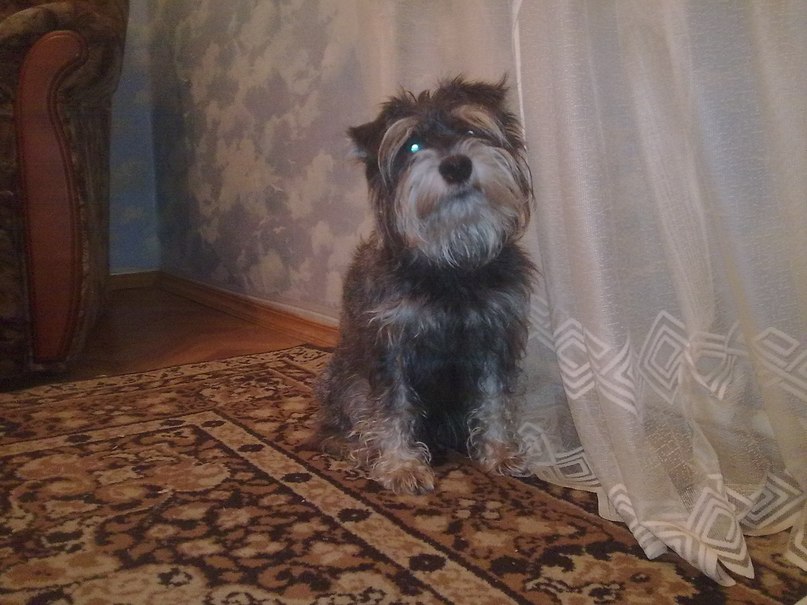 Флинт Султанбаев фотография #3