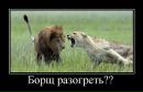 Фотография Феофанова Павла