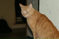 Фотография Васильевой Наташи