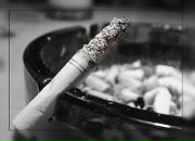 Фотография Назарова Игоря