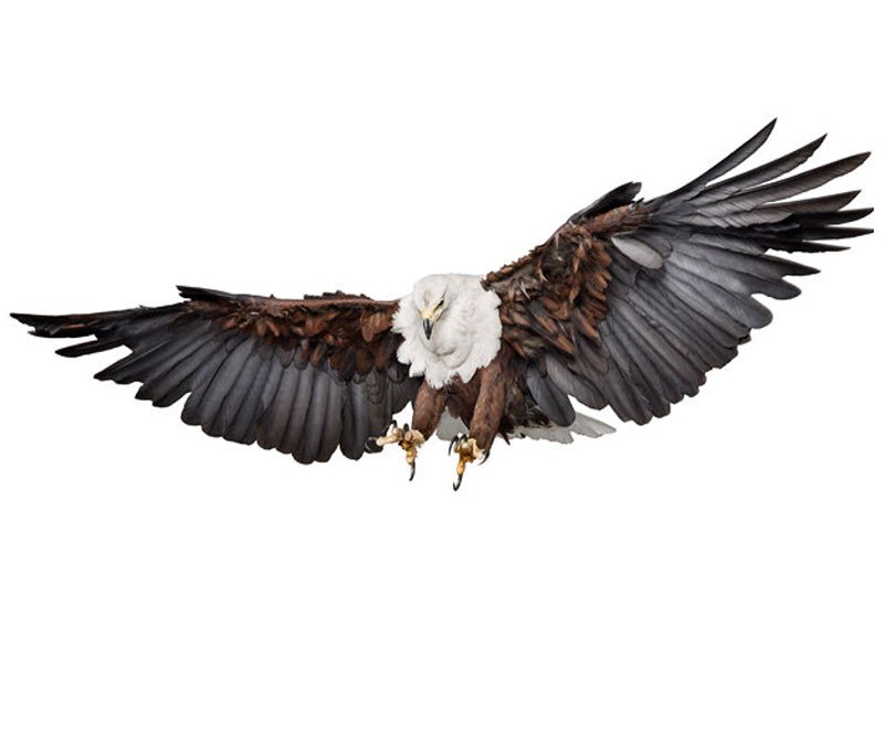 Сергей Орел фотография #1