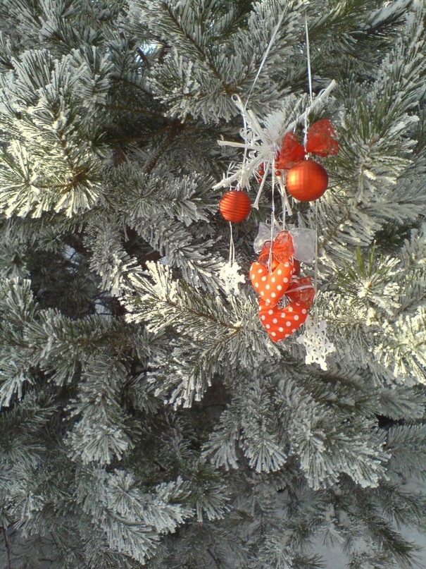Ольга Бугакова фотография #27