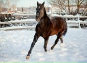 Фотография Чужаевой Надежды