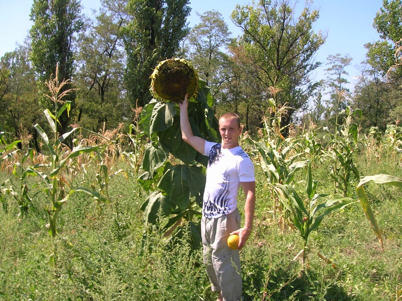 Николай Логвиненко фотография #33