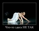 Сергій Старух фотография #8 (источник - https://vk.com/id162732006)