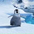 Фотография Куковякина Максима