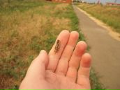 Фотография Мисс Тины