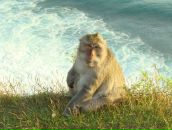 Фотография Финка Александра