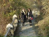 Віка Гребень фотография #32 (источник - https://vk.com/id5916455)