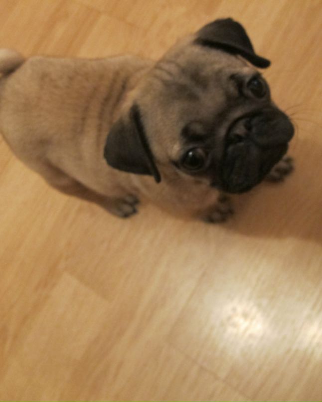 Дашулька Куприна фотография #48