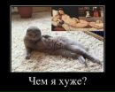 Ірина Пилат фотография #50 (источник - https://vk.com/id162477277)