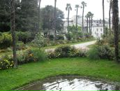 Олег Пасічник фотография #46 (источник - https://vk.com/id53254187)