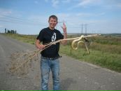 Фотография Егорова Валентина