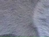 Лера Лоц фотография #10 (источник - https://vk.com/id57504657)