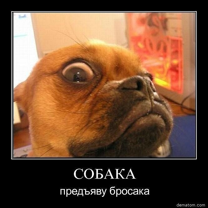 Данил Кезин фотография #50