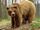 Софійка Микитюк фотография #5 (источник - https://vk.com/id148055597)