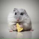 Макс Дембіцький фотография #5 (источник - https://vk.com/id134776755)