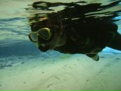 Фотография Гринченко Алины