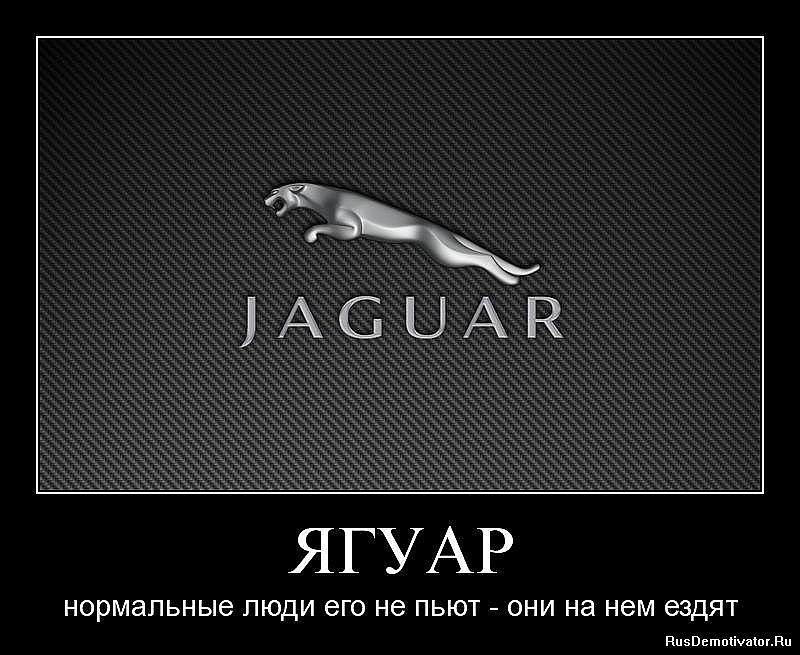 Виктор Губарев фотография #10