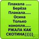 Паша Андрійченко фотография #1