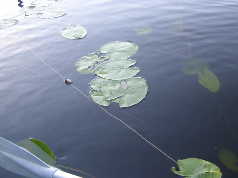 Михаил Симоненков фотография #46