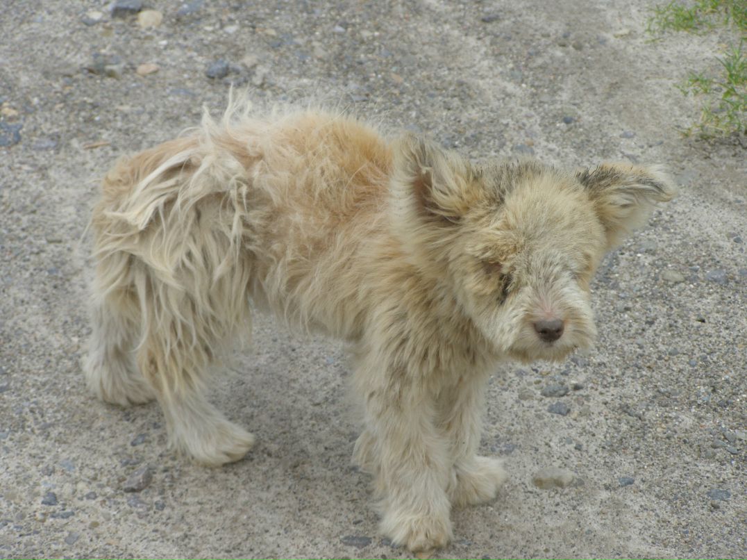 Дмитрий Мельников фотография #46