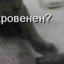 Вова Іщенко фотография #17 (источник - https://vk.com/id152020108)