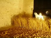 Andrій Савчин фотография #39 (источник - https://vk.com/id20048602)