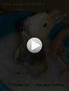 Діма Боднар фотография #13 (источник - https://vk.com/id55909307)