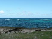 Ольга Шабаева фотография #37 (источник - https://vk.com/id2282910)