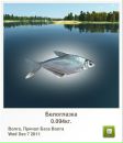 Петя Шютів фотография #3 (источник - https://vk.com/id155564623)