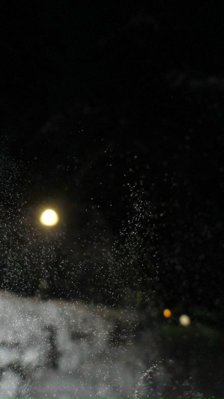 Victor Sheremetker фотография #26