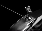 Левон Мкртчян фотография #15 (источник - https://vk.com/id6579978)