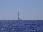 Фотография Хотько Юлии