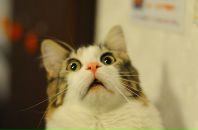 Фотография Попова Дениса