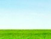 Анна Бельская фотография #13 (источник - https://vk.com/id11558528)