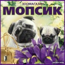 Фотография Гордеевой Виктории