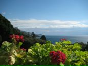 Юлія Шилінська фотография #11 (источник - https://vk.com/id5612020)