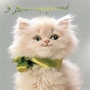 Міша Вищиревич фотография #10 (источник - https://vk.com/id125012919)